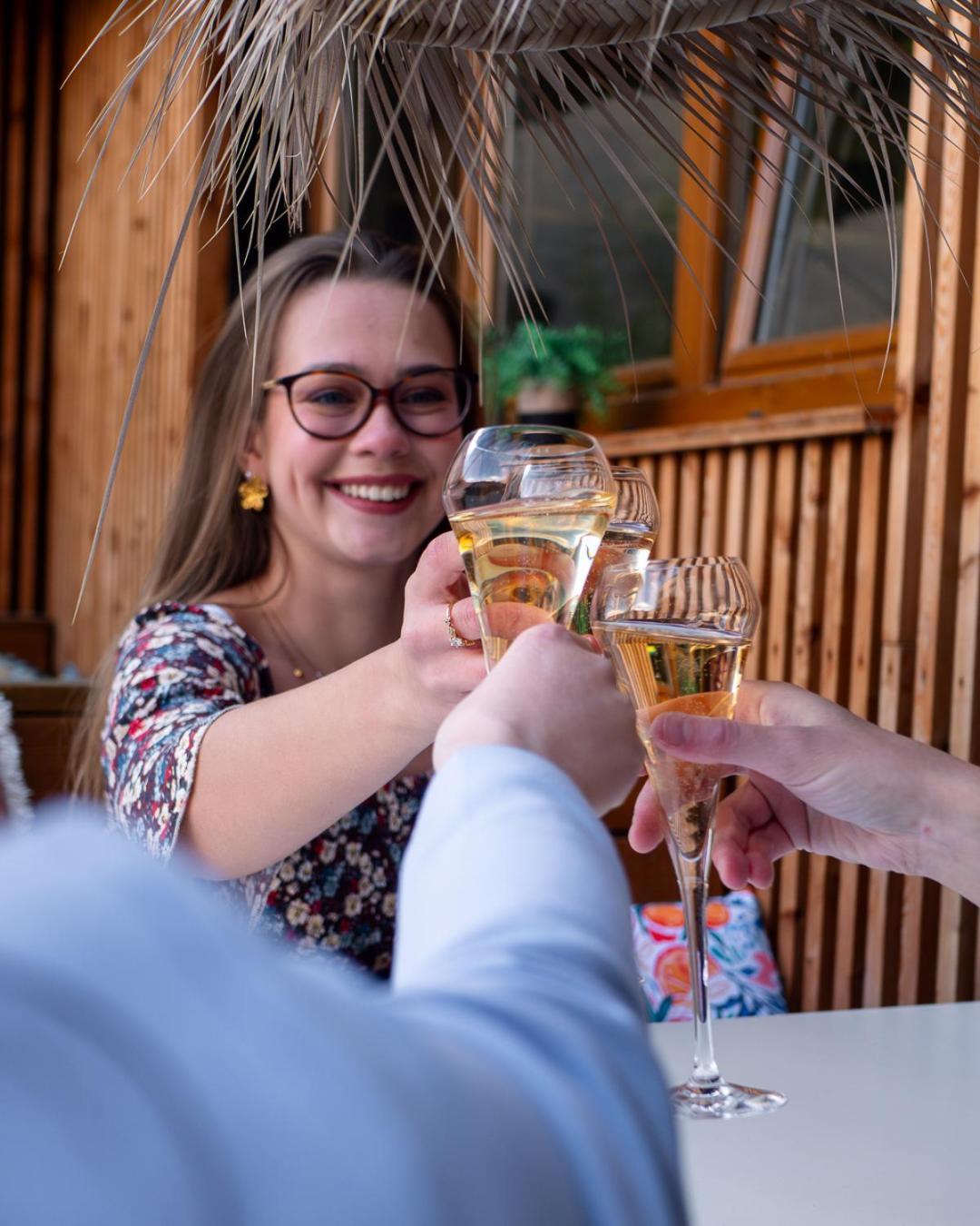 Hotel Restaurant Vaillant Proche Europapark Rulantica Sélestat Eksteriør billede